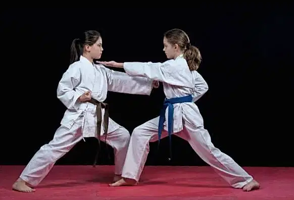 Antalya Çocuk Karate Kursu